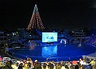 IMG 0951