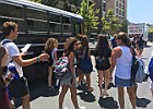 IMG 4179