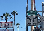 IMG 4186