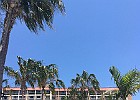 IMG 4219
