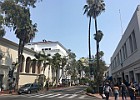 IMG 4250