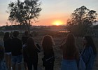 IMG 4273