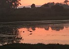 IMG 4278