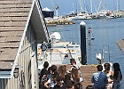 IMG 4323