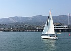 IMG 4334