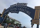 IMG 4381