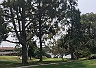 IMG 4394