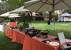IMG 4397