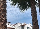 IMG 4425