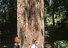 IMG 4457