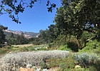 IMG 4461