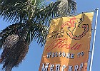 IMG 4486