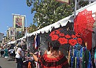 IMG 4487