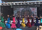 IMG 4516