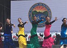 IMG 4520
