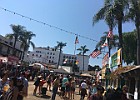 IMG 4521