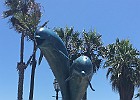 IMG 4556