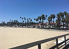 IMG 4558