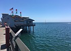 IMG 4562