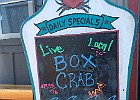 IMG 4563