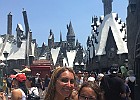 IMG 4593