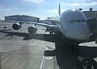 IMG 4605