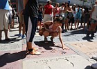 IMG 9687