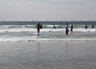 IMG 9772