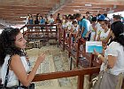 DSCN0760