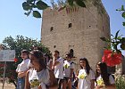 IMG 2052