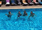 IMG 6084