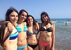IMG 6154