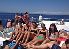 IMG 6167