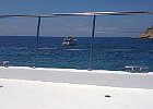 IMG 6176