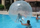 IMG 7392