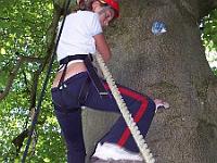 Tree climbing