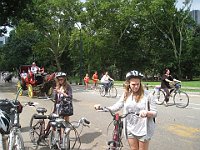 IMG 0626