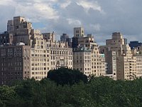 IMG 2529