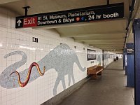 IMG 2580