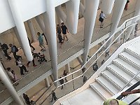 IMG 8378