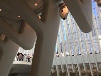 IMG 8383