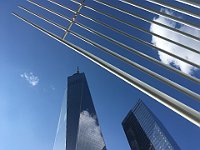 IMG 8387