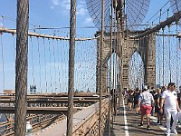 IMG 8500