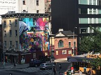 IMG 8545