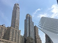 IMG 8833