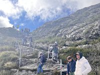 IMG 7357