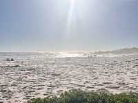 IMG 7438