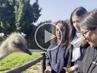 IMG 7808