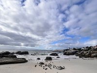 IMG 8141