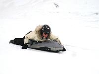 IMG 9311